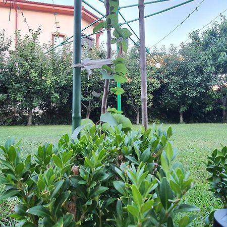 Vila Vasile Năvodari Kültér fotó