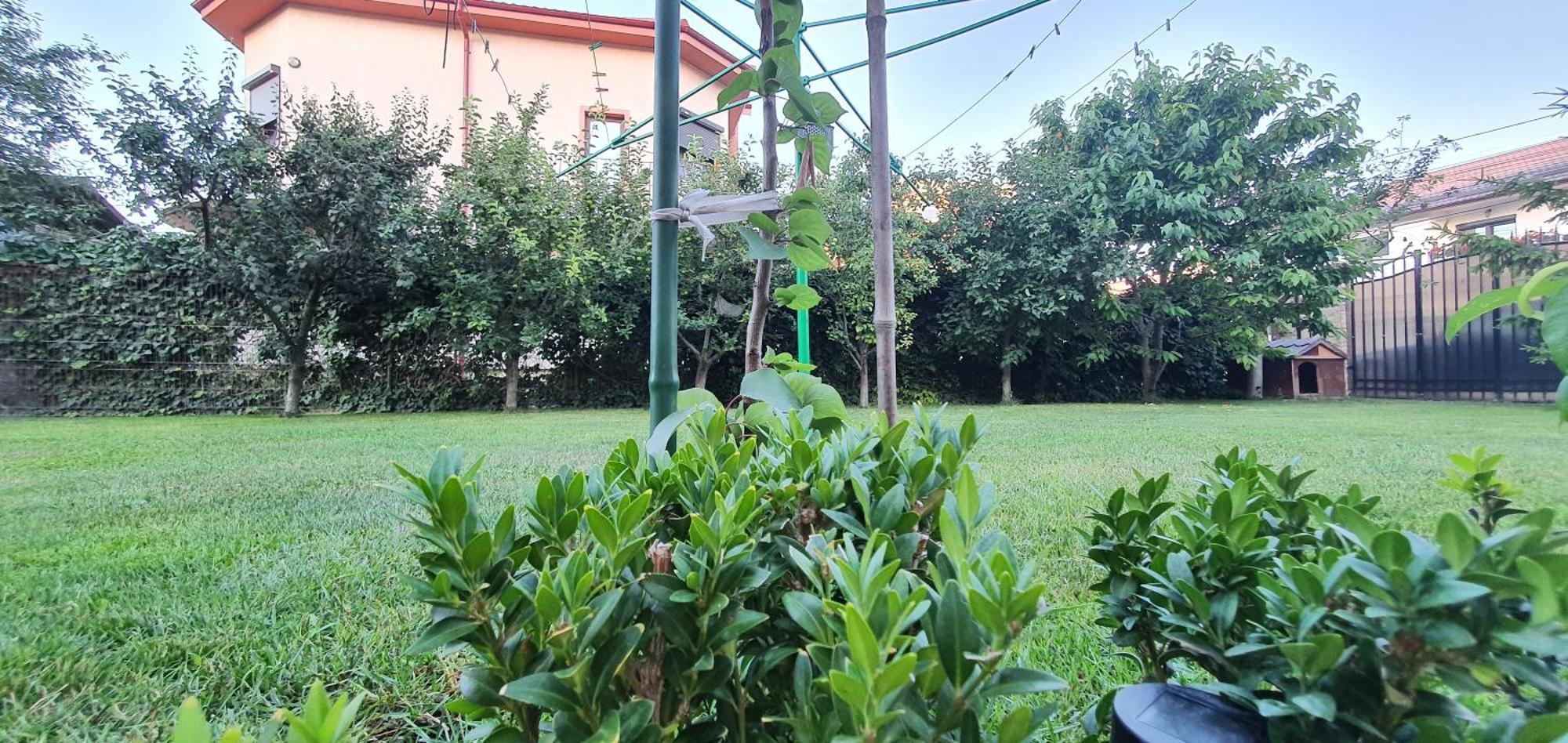 Vila Vasile Năvodari Kültér fotó