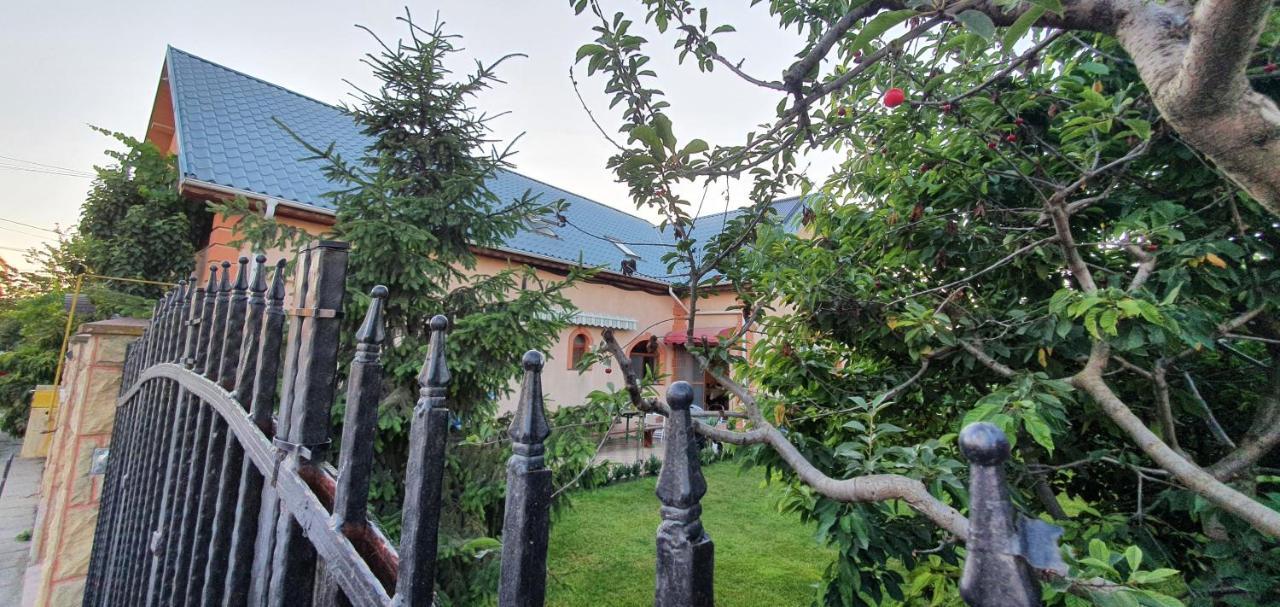 Vila Vasile Năvodari Kültér fotó